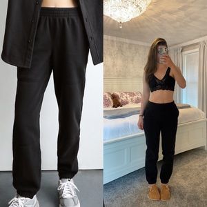 Aritzia Polar Joggers